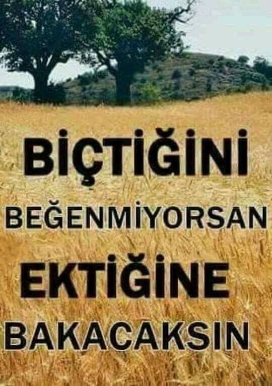 Biçtiğini beğenmiyorsan ektiğine bakacaksın!